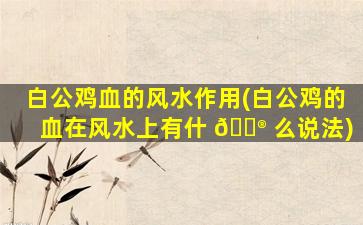 白公鸡血的风水作用(白公鸡的血在风水上有什 💮 么说法)